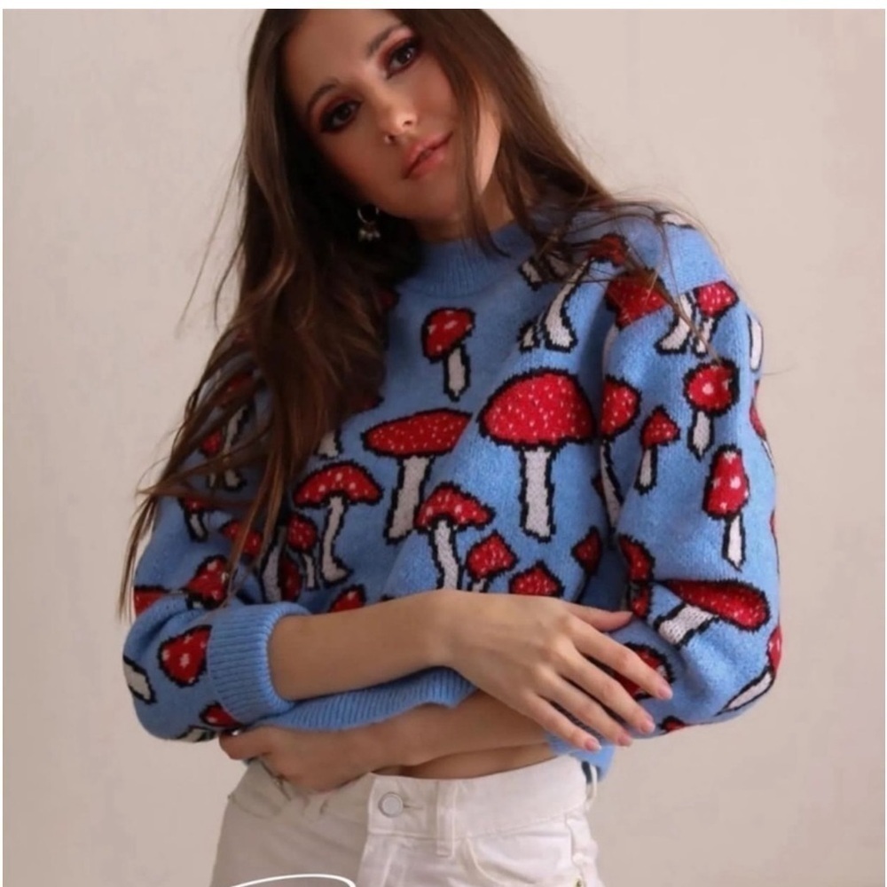 Zara Blogger's Favorite Knit Mushroom Long Sleeve Crew Neck Novelty Sweater - Picture 5 of 16